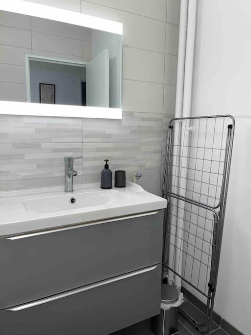 Appartement Renove - Vandoeuvre Les Nancy Экстерьер фото
