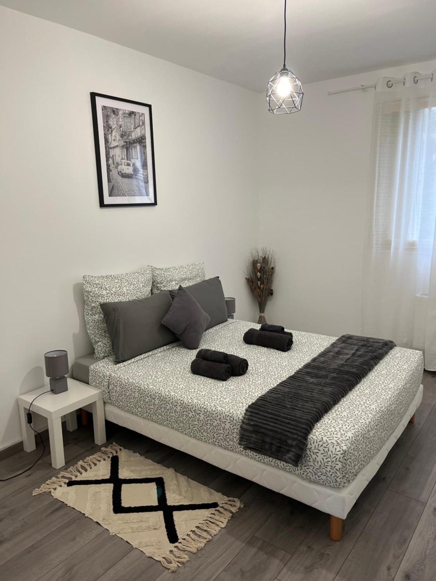 Appartement Renove - Vandoeuvre Les Nancy Экстерьер фото